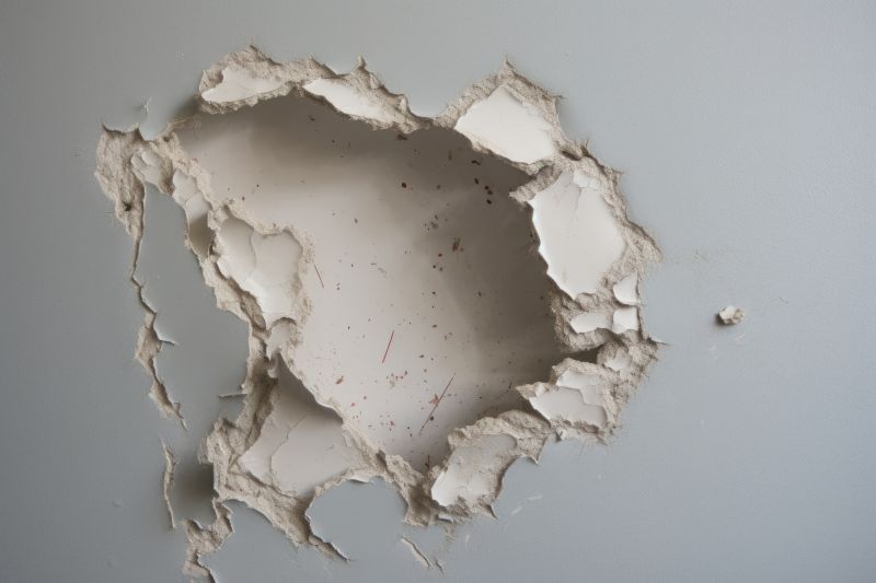 Garage Drywall Repair in Conroe, TX